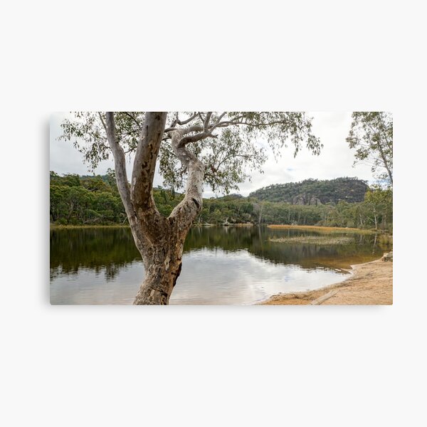 Dunns Swamp, Cudgegong River, Wollemi National Park, NSW Metal Print
