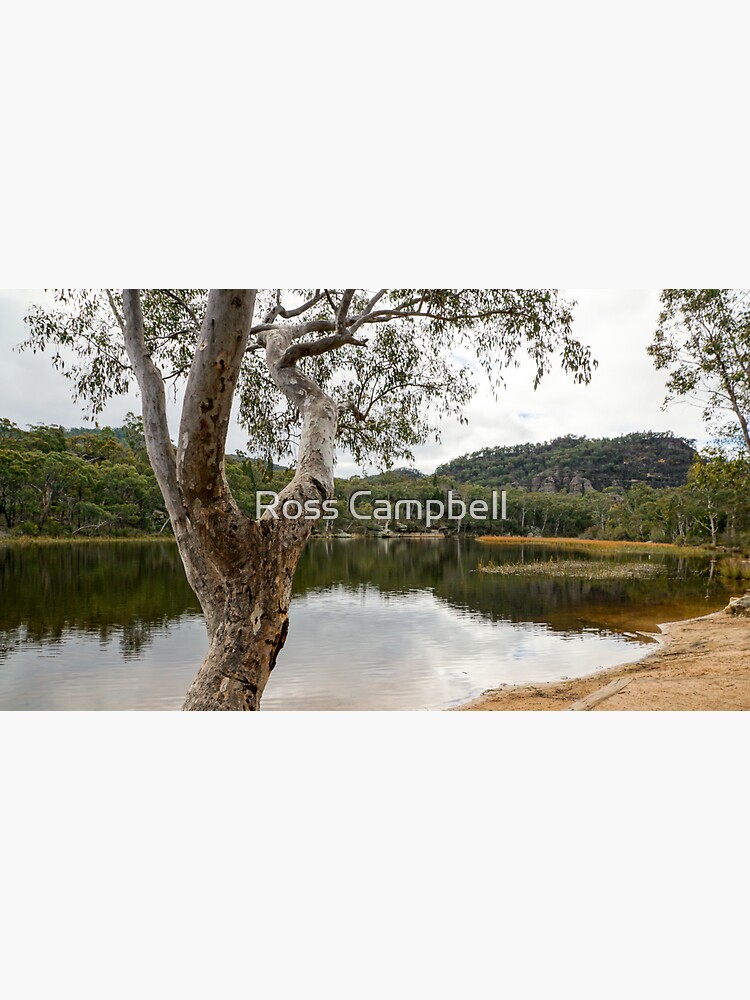 Dunns Swamp, Cudgegong River, Wollemi National Park, NSW by rossacampbell