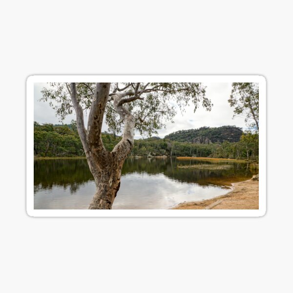 Dunns Swamp, Cudgegong River, Wollemi National Park, NSW Sticker