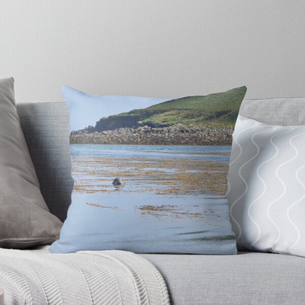Item preview, Seal In The Isles Of Scilly designed and sold by Malcolm Snook.