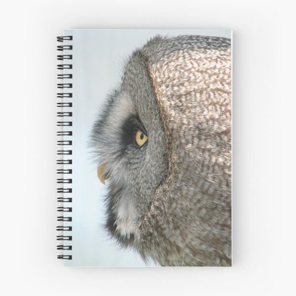 Item preview, owl in profile designed and sold by Yampimon.