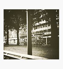 peeking... Photographic Print