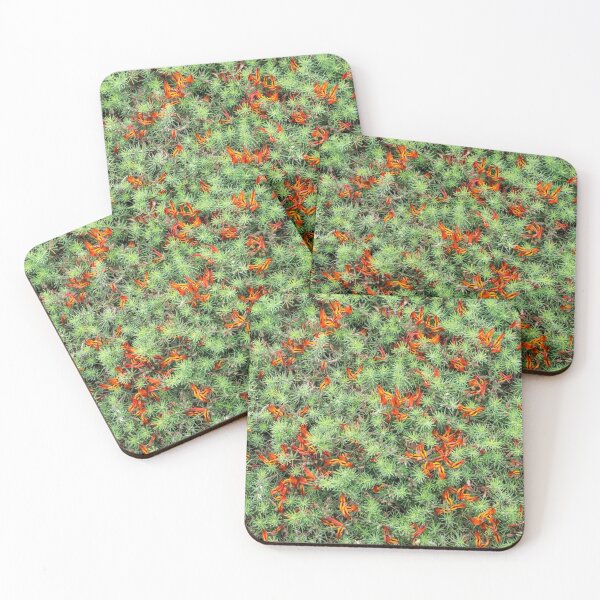 Item preview, Flower Carpet - Flame Shaped Succulent Blooms Riot designed and sold by Georgia Mizuleva.