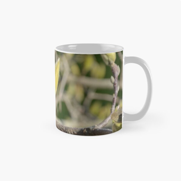 Item preview, WINTER BUDS designed and sold by kazaroodie.