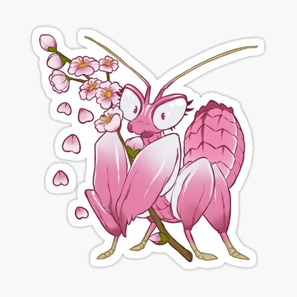 Cherry Blossom Orchid Mantis Sticker