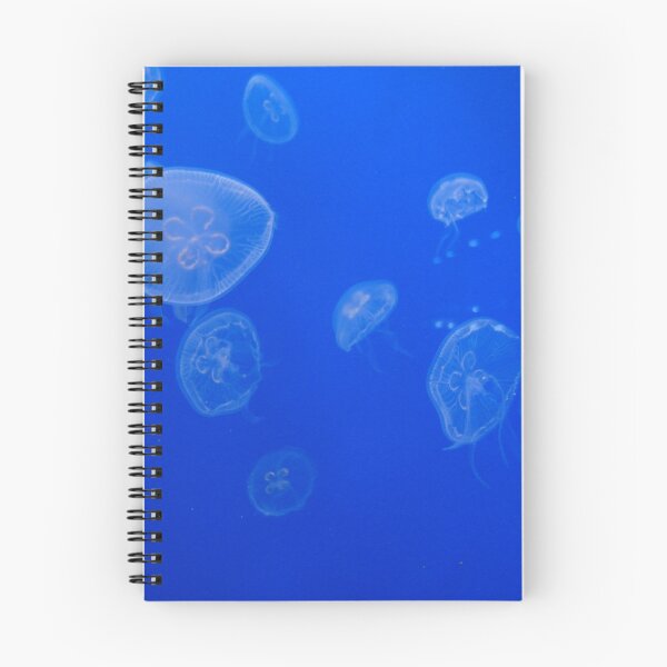 Item preview, Jellies designed and sold by srw110.