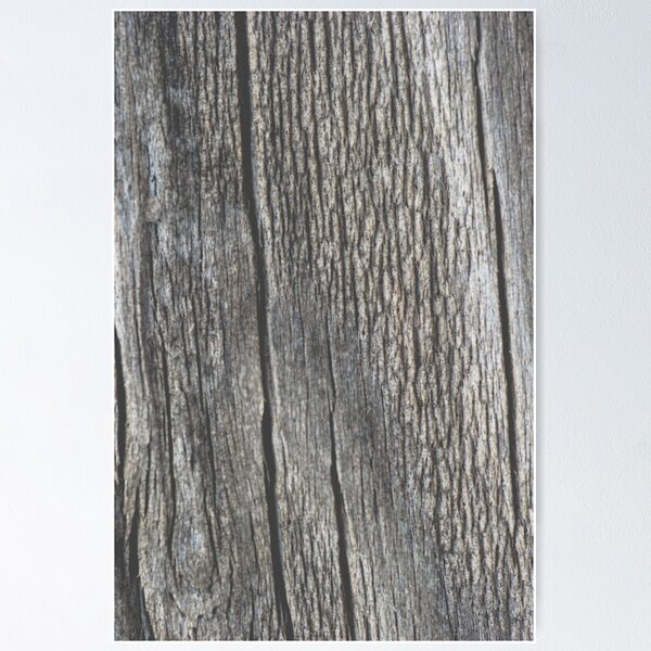 Item preview, Wood grain designed and sold by Athanasios Maikousis.