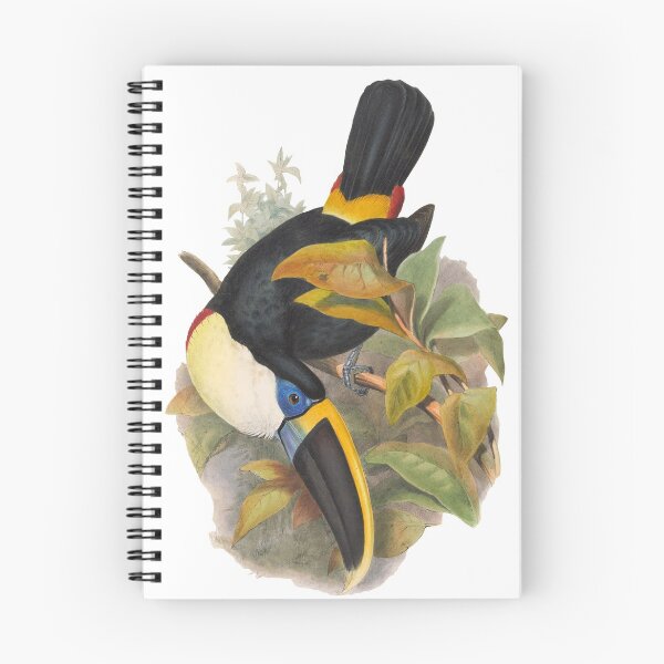 Item preview, Cuvier's Toucan designed and sold by billythekidtees.