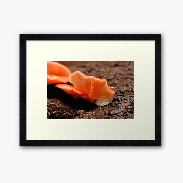 Item preview, Earthy Apricot Fungi designed and sold by WobblyWombat.