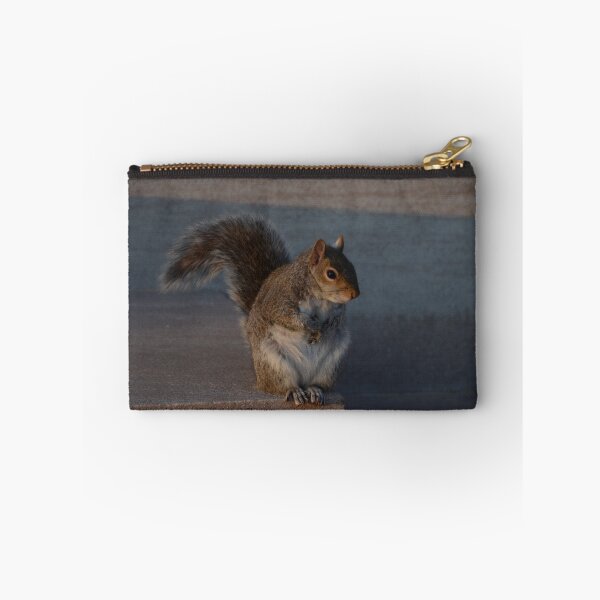 Item preview, Urban Gray Squirrel designed and sold by Malcolm Snook.