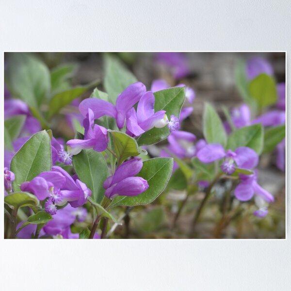 Item preview, Wild Orchids  designed and sold by sandraalberts.