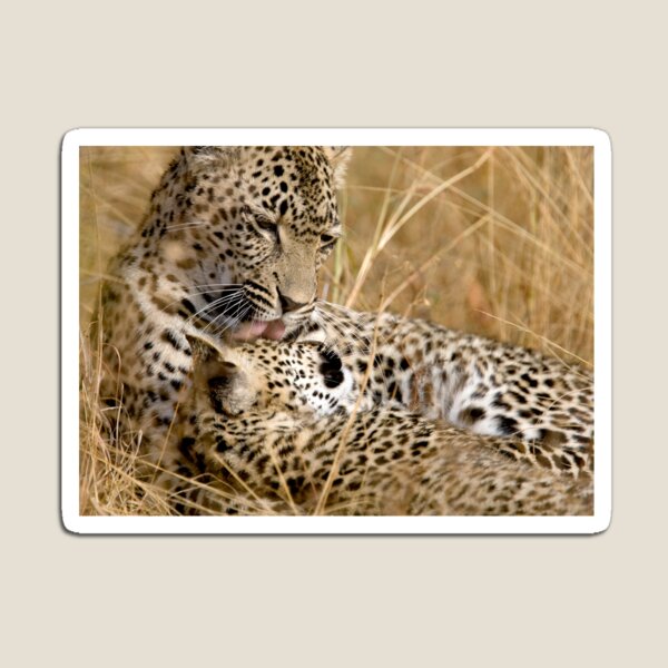 Karula and cub Magnet