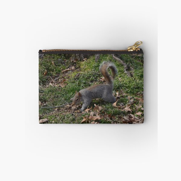 Item preview, Gray Squirrel In The Woods designed and sold by Malcolm Snook.