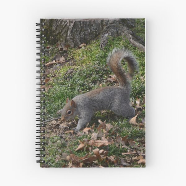 Item preview, Gray Squirrel In The Woods designed and sold by Malcolm Snook.