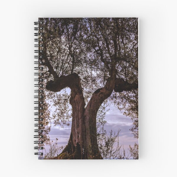 Item preview, Olive tree, Panicale, Umbria, Italy designed and sold by AndrewJonesFoto.