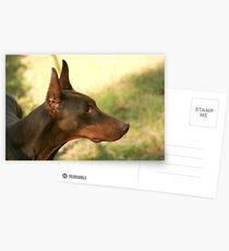 Noble Watchman Postcards
