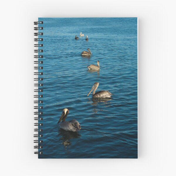 Item preview, group of pelicans designed and sold by fineartbyK.