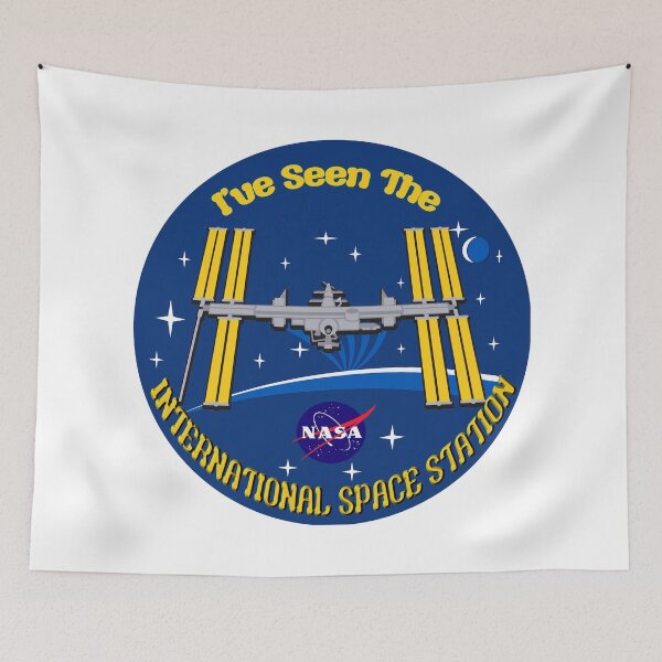 Artikelvorschau, Ich habe die ISS gesehen entworfen und verkauft von Nikki SpaceStuffPlus.
