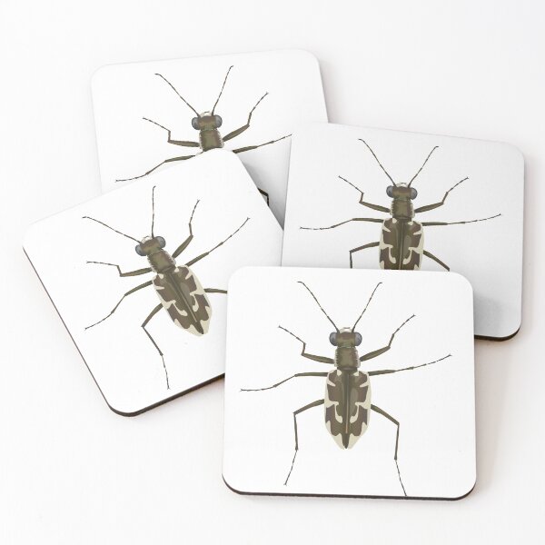 Item preview, Puritan tiger beetle, Ellipsoptera puritana designed and sold by thevexedmuddler.