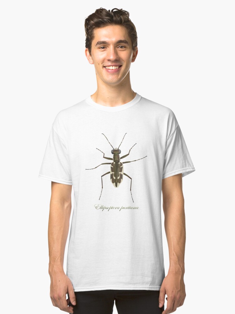 Alternate view of Puritan tiger beetle, Ellipsoptera puritana Classic T-Shirt