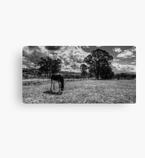 A lone ASS - mono Canvas Print