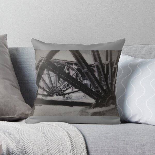 Throw Pillow
