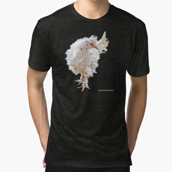 Frizzle Frazzle Tri-blend T-Shirt