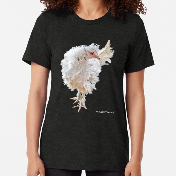 Frizzle Frazzle Tri-blend T-Shirt
