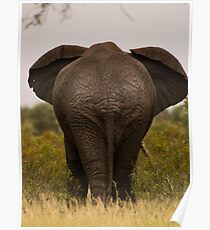 Wrinkle Rump Poster