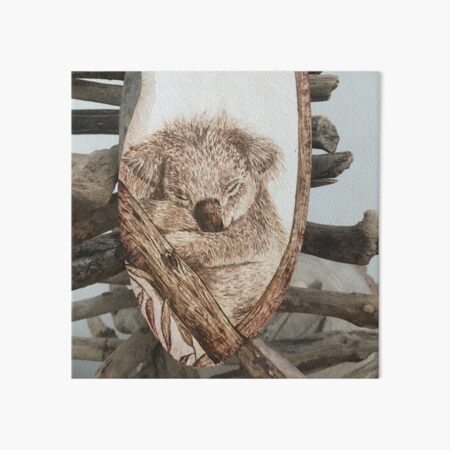Baby koala Art Board Print