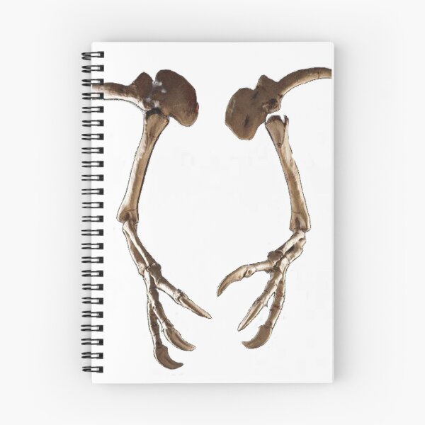Item preview, Deinocheirus Hands designed and sold by wolffuchsart.