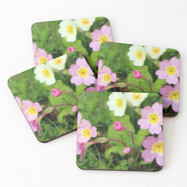 Item preview, Pink and Yellow Primroses designed and sold by pinkal.