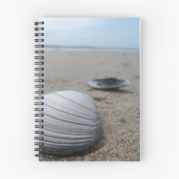 Item preview, Shells on the Beach designed and sold by ElviraTSquirrel.