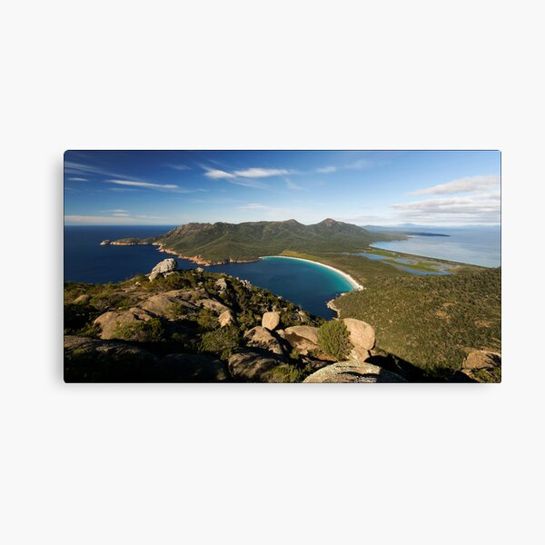 Wineglass Canvas Print