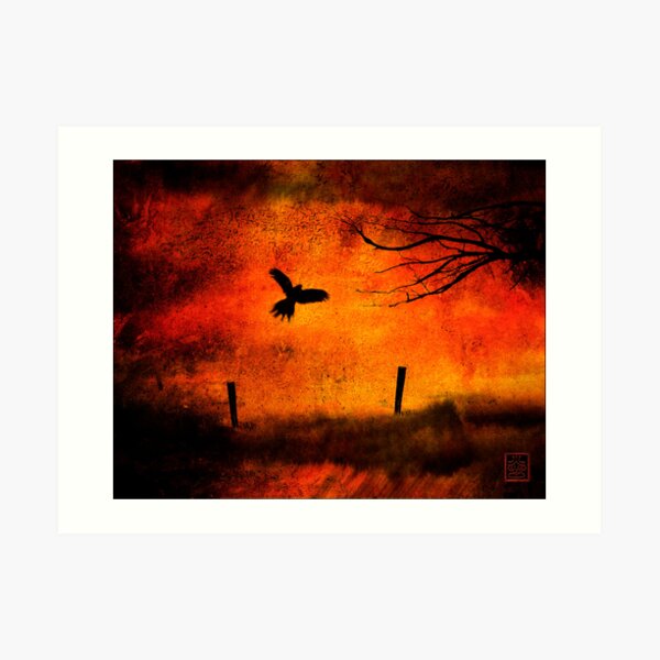 Wings Of Fire Art Print