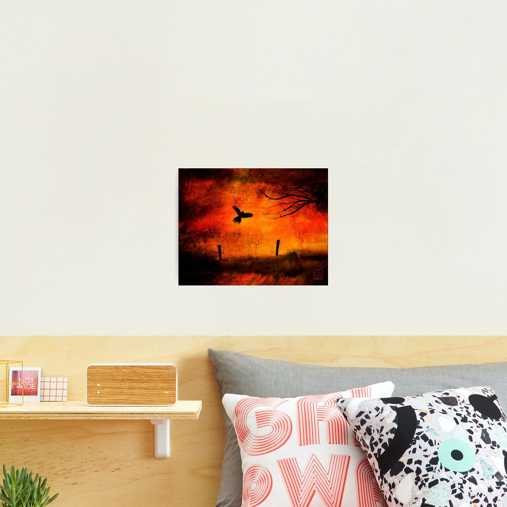 Wings Of Fire Photographic Print