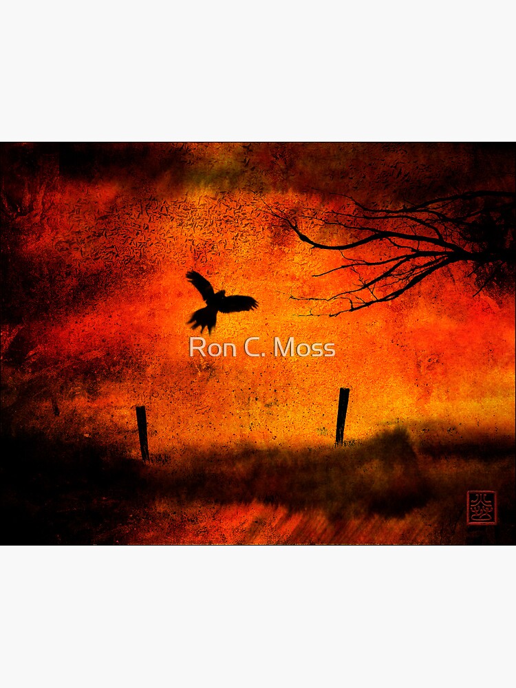 Wings Of Fire by ronmoss