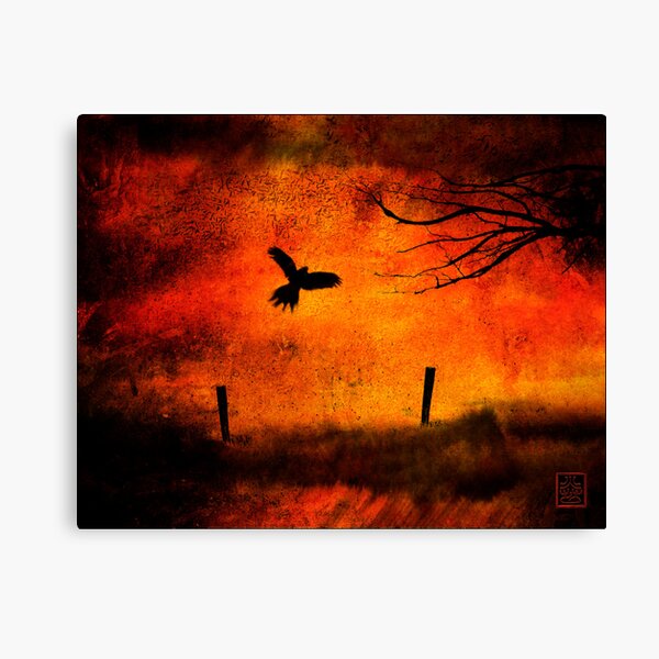 Wings Of Fire Canvas Print