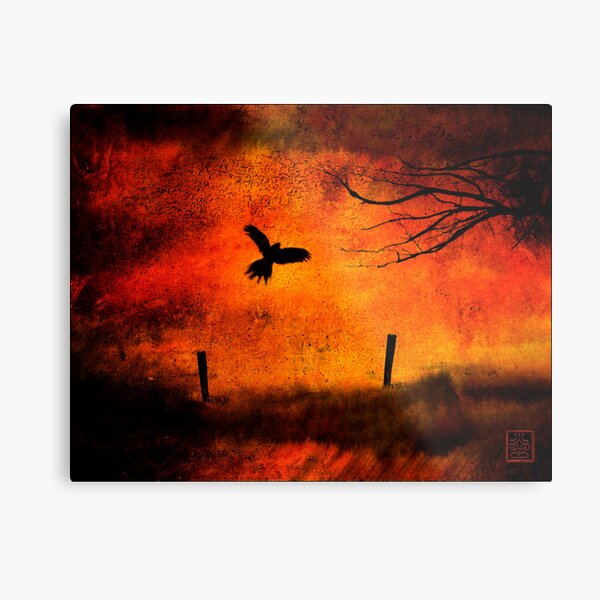 Wings Of Fire Metal Print