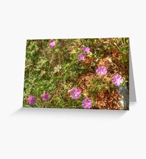 Beautiful Burren Flowers Greeting Card
