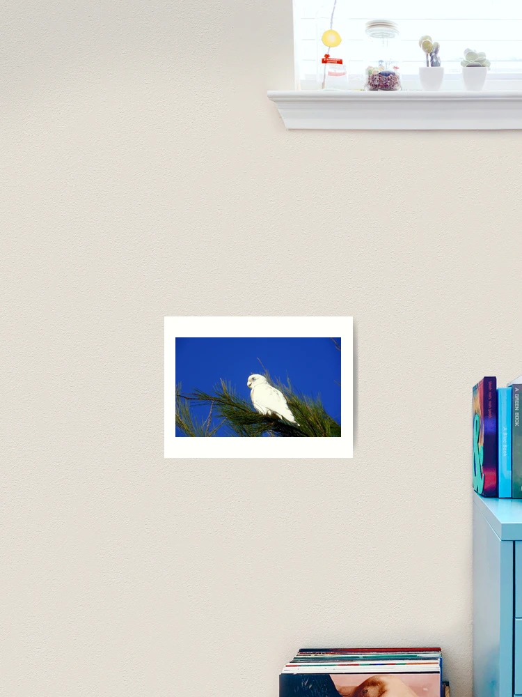 Thumbnail 2 von 3, Kunstdruck, Corella designt und verkauft von Rinaldo Di Battista.