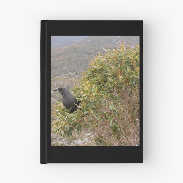 Item preview, Currawong Surveying it's Territory, Cradle Mountain, Tasmania,Australia. designed and sold by kaysharp.