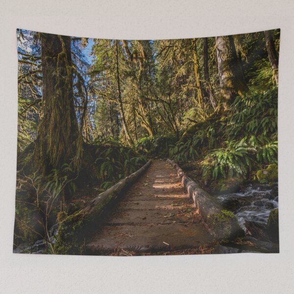 Item preview, Pacific Northwest Road Trip - Olympic National Park designed and sold by artcascadia.