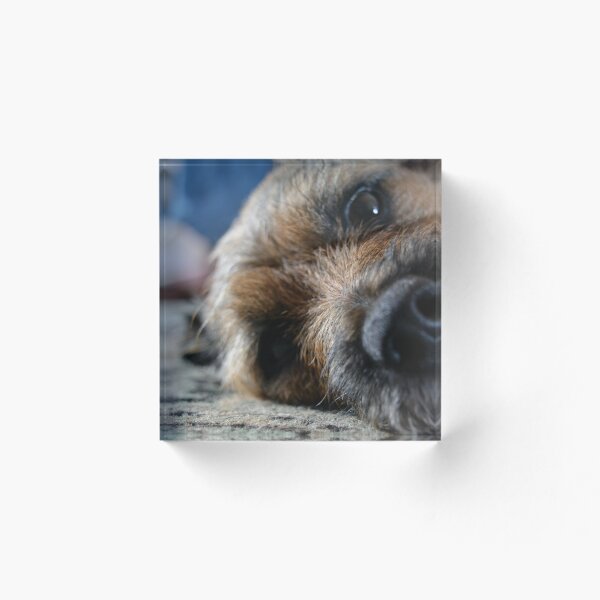 Item preview, Wet nose designed and sold by TheArtChappy.