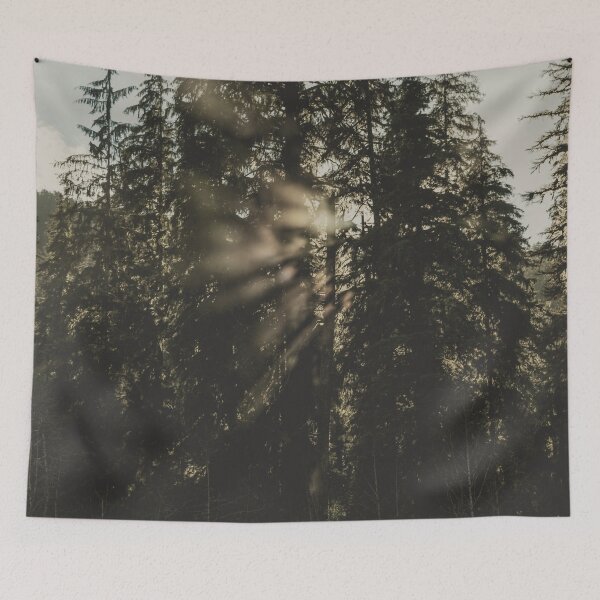 Item preview, Forest Morning - Sunlight in the Trees designed and sold by artcascadia.