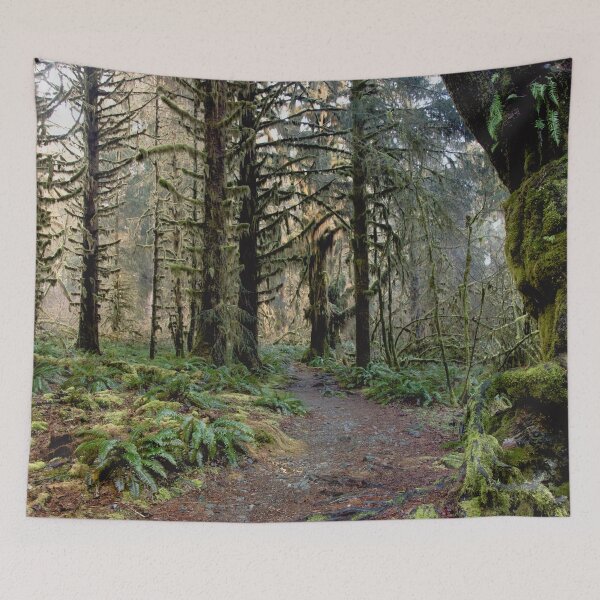 Item preview, Forest Fairy Tale - Mossy Woods in the Pacific Northwest III designed and sold by artcascadia.