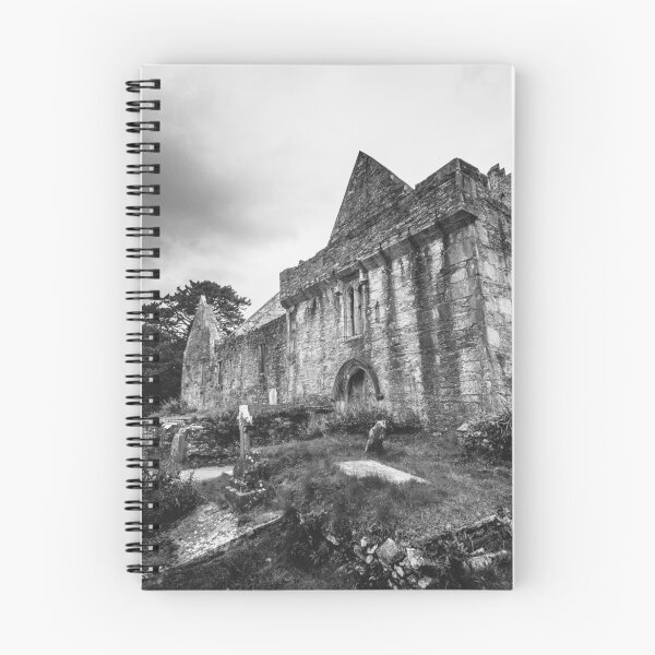 Item preview, Muckross Abbey -  Irish Monastery and Graveyard - Killarney National Park Ireland designed and sold by artcascadia.