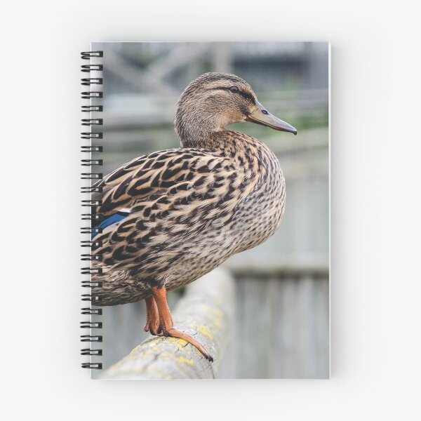 Item preview, Perching Duck designed and sold by Photomattic.