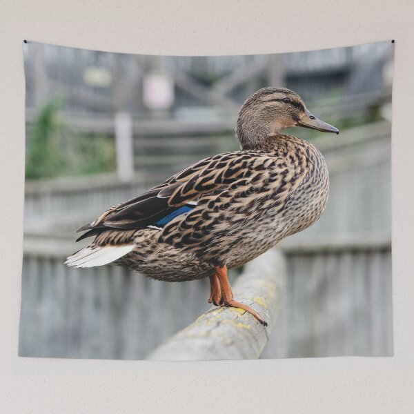 Item preview, Perching Duck designed and sold by Photomattic.