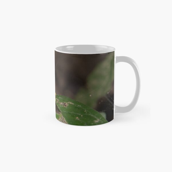 Convict Tree Frog, Parque Nacional del Manu, Peru Classic Mug